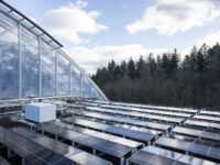 Eine Photovotaik Anlage an der Masoala Halle des Zoo Zuerich, fotografiert am Dienstag, 23. Januar 2024. Verschiedene Gebaeude des Zoo Zuerich werden durch die Firma SunTechnics Fabrisolar - eine Tochterfirma des Elektrizitaetswerks der Stadt Zuerich (EWZ) - mit einer Photovoltaik-Anlage ausgestattet. (KEYSTONE/Christian Beutler)