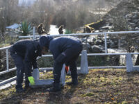 Montage der Beton Sockel einer Photovoltaik-Anlage auf einem Dach des Zoo Zuerich durch die Firma SunTechnics Fabrisolar, fotografiert am Dienstag, 23. Januar 2024 in Zuerich. Verschiedene Gebaeude des Zoo Zuerich werden durch die Firma SunTechnics Fabrisolar - eine Tochterfirma des Elektrizitaetswerks der Stadt Zuerich (EWZ) - mit einer Photovoltaik-Anlage ausgestattet. (KEYSTONE/Christian Beutler)